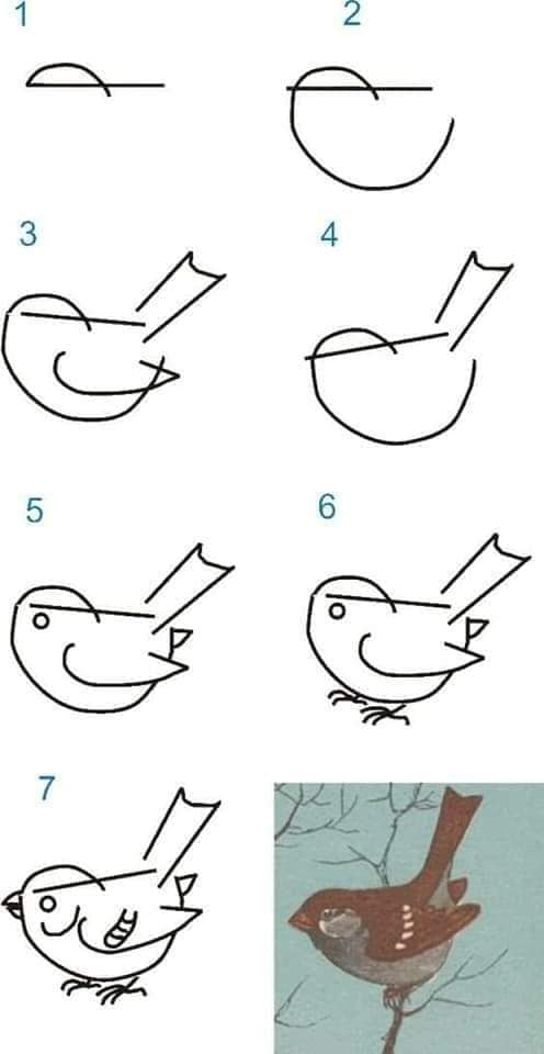 A Bird - Idea 9 Drawing Ideas