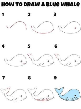 A Blue Whale Drawing Ideas