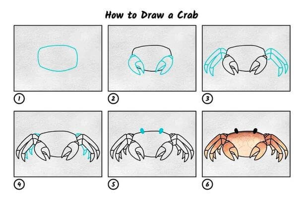 How to draw A Crab Idea 4