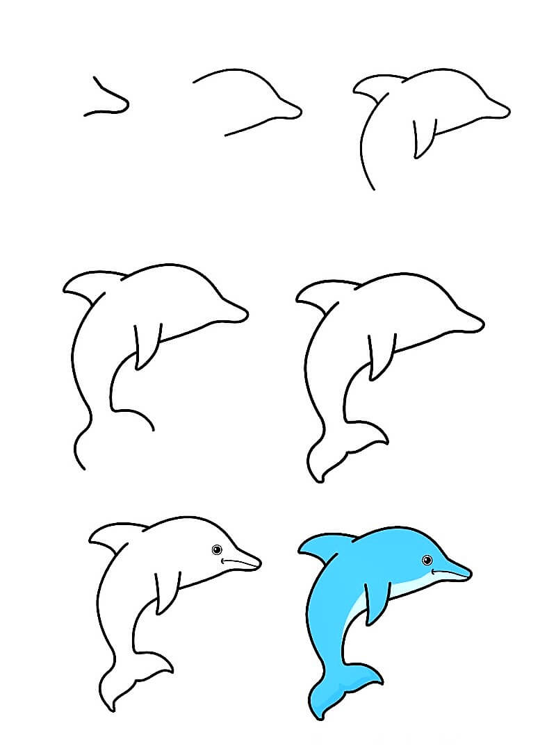 A Cute-Cartoon Dolphin Drawing Ideas