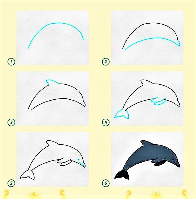 A Dolphin Idea 10 Drawing Ideas