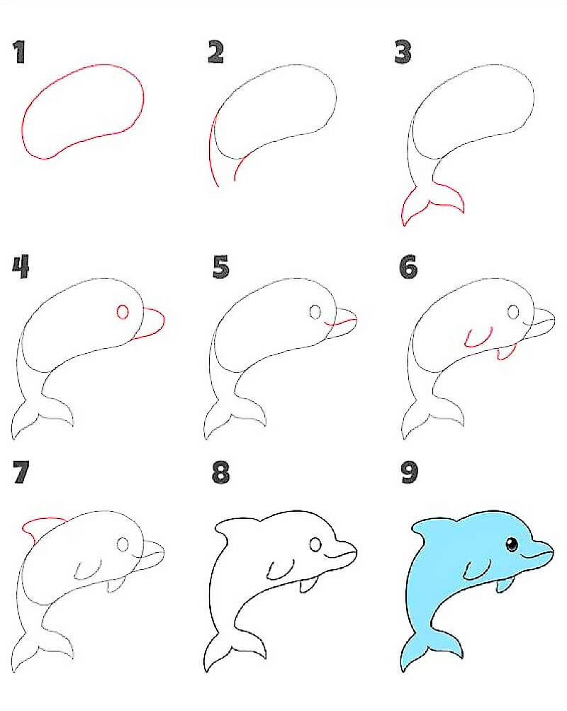 A Dolphin Idea 12 Drawing Ideas