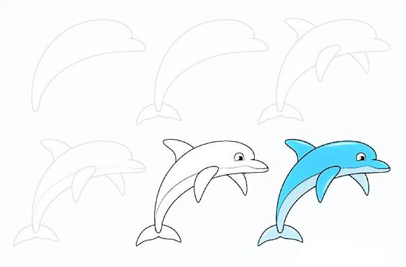 A Dolphin Idea 13 Drawing Ideas