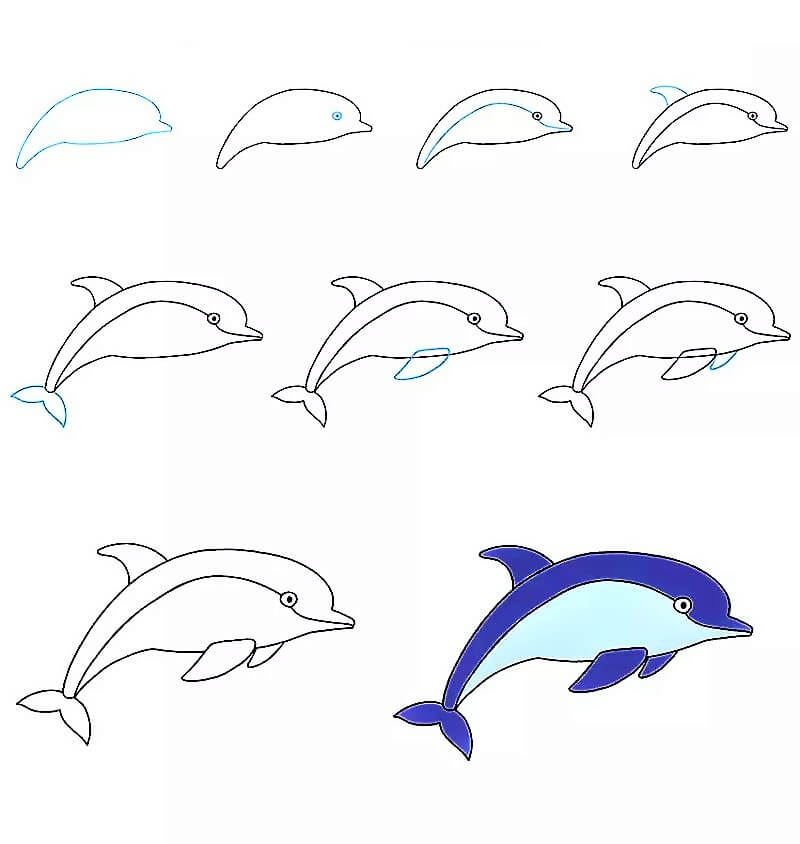 A Dolphin Idea 17 Drawing Ideas