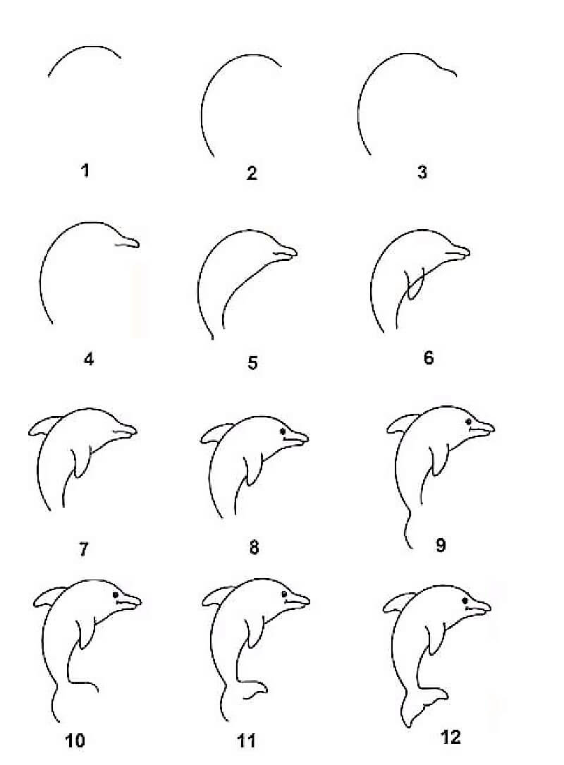 A Dolphin Idea 18 Drawing Ideas