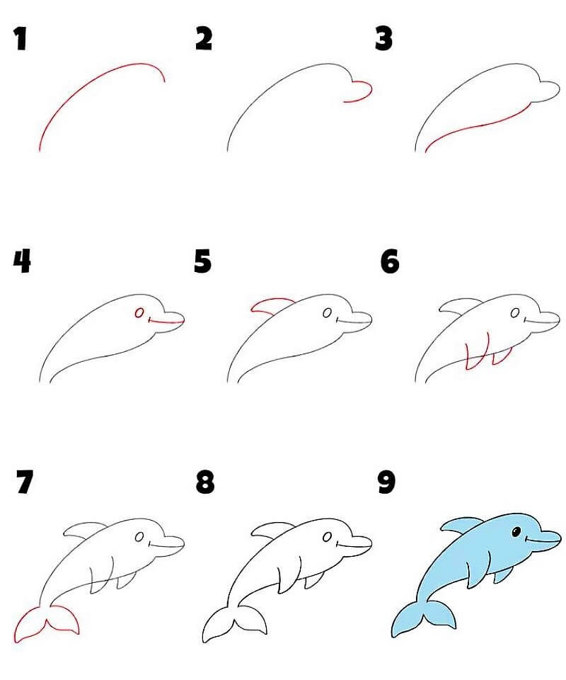 A Dolphin Idea 19 Drawing Ideas