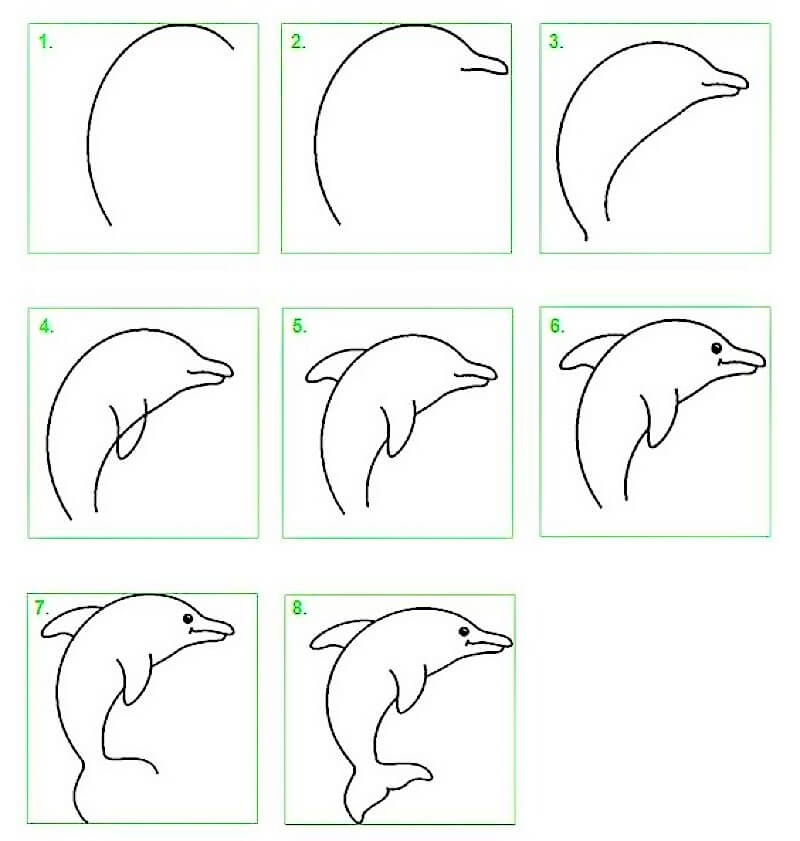 A Dolphin Idea 20 Drawing Ideas