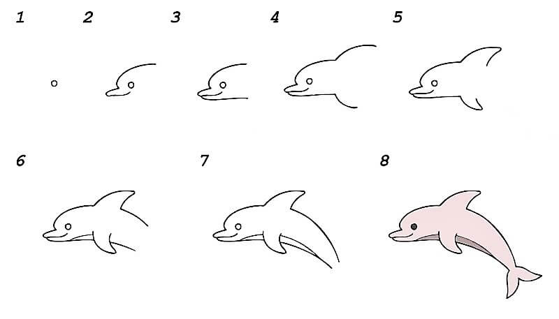 A Dolphin Idea 21 Drawing Ideas