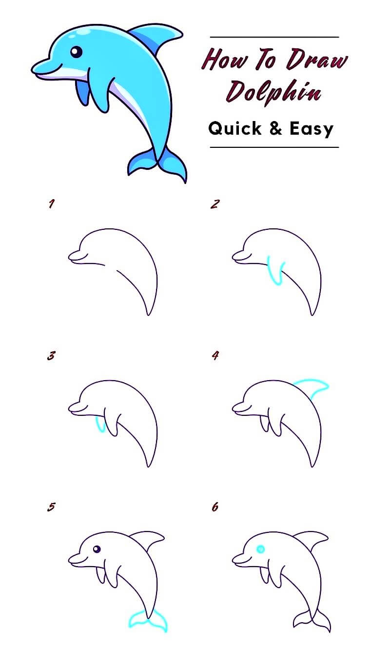 A Dolphin Idea 23 Drawing Ideas