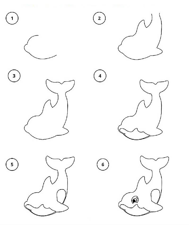 A Dolphin Idea 24 Drawing Ideas