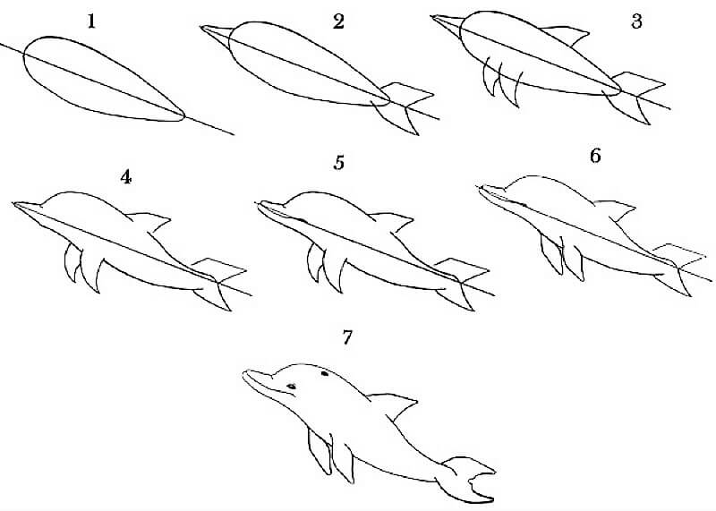 A Dolphin Idea 5 Drawing Ideas
