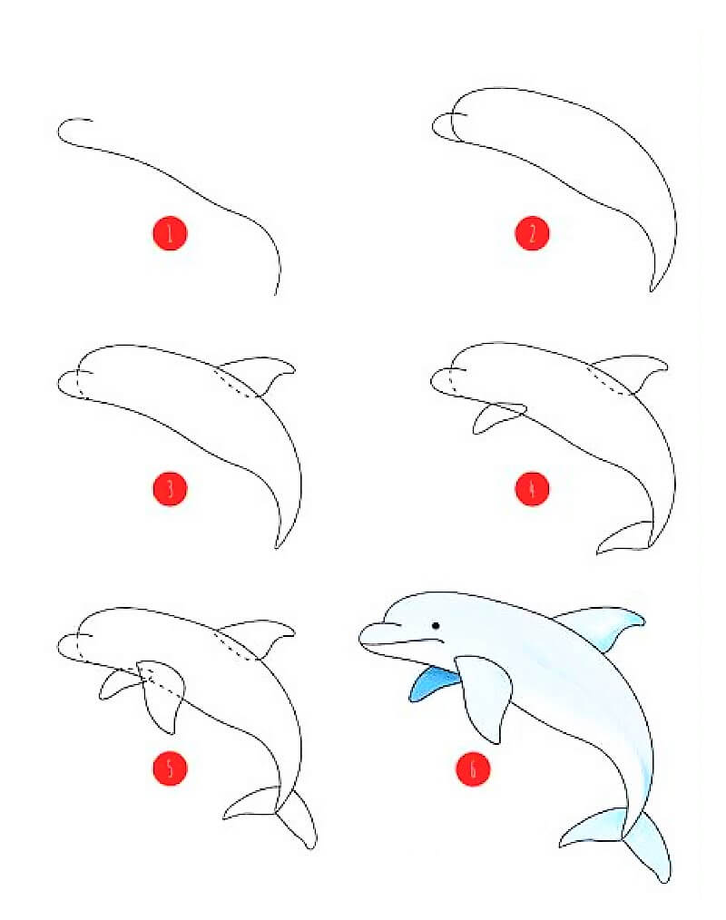 A Dolphin Idea 7 Drawing Ideas