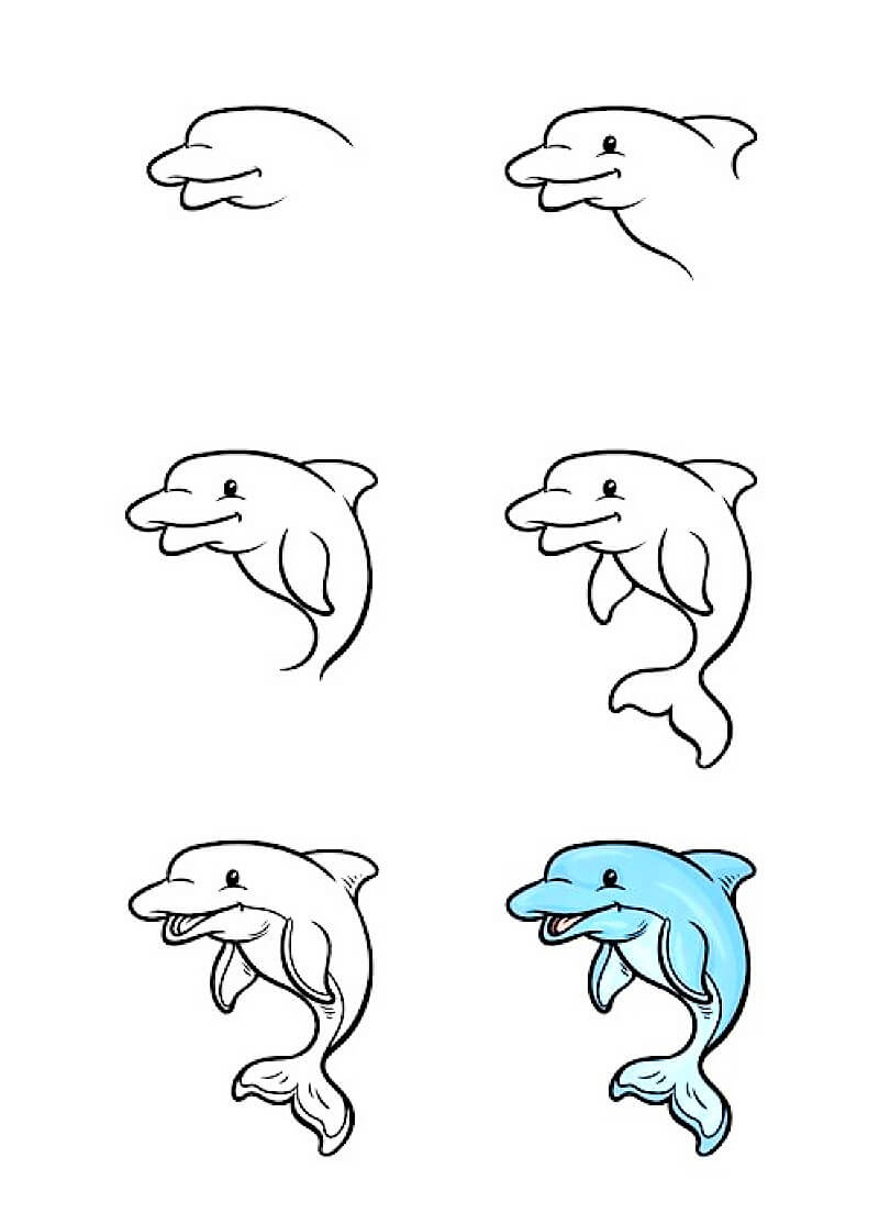A Dolphin Idea 8 Drawing Ideas