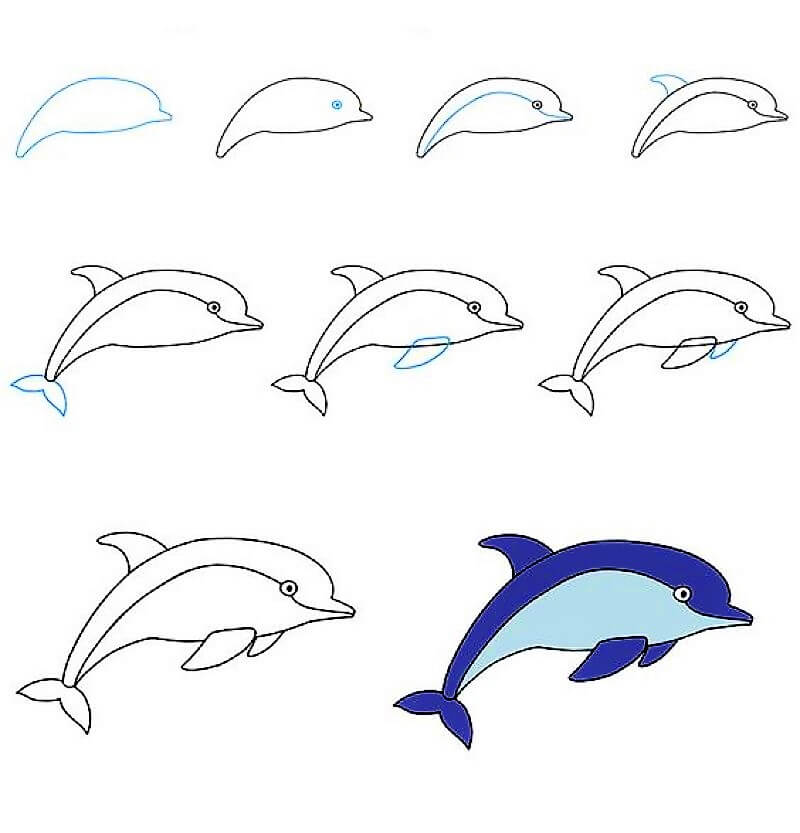 A Dolphin Idea 9 Drawing Ideas