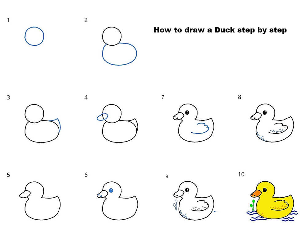 A Duck is swimming Drawing Ideas