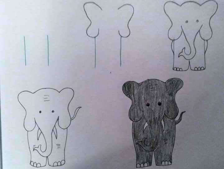 A Grey Elephant Drawing Ideas