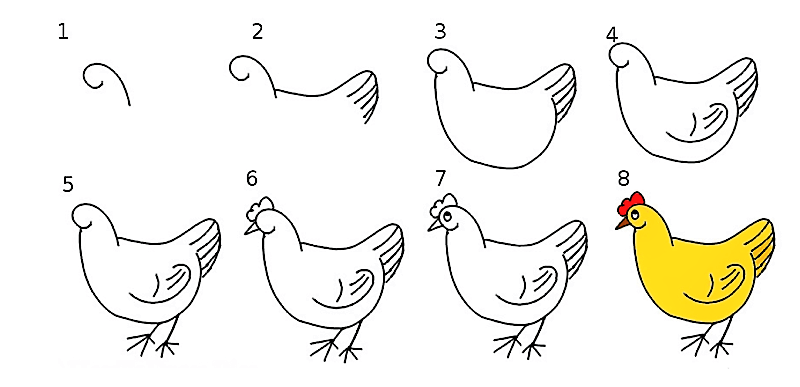 A Lovely Chicken Drawing Ideas