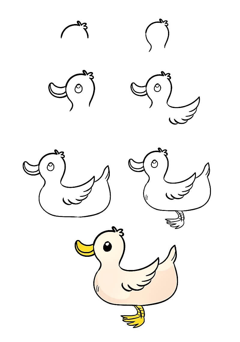 How to draw A Lovely Duck