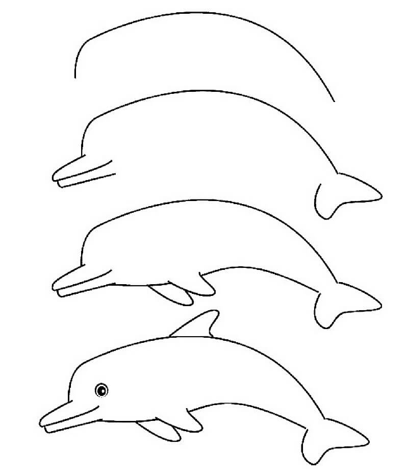 A Quick and Easy Dolphin Drawing Ideas