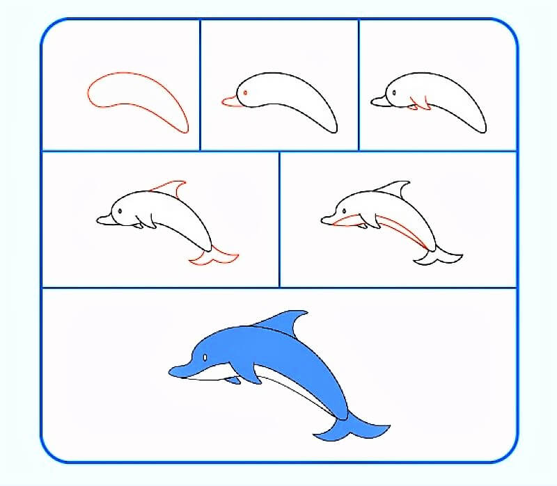 A Realistic Dolphin Drawing Ideas
