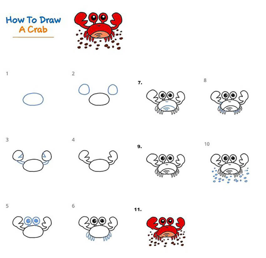 How to draw A Sea Crab
