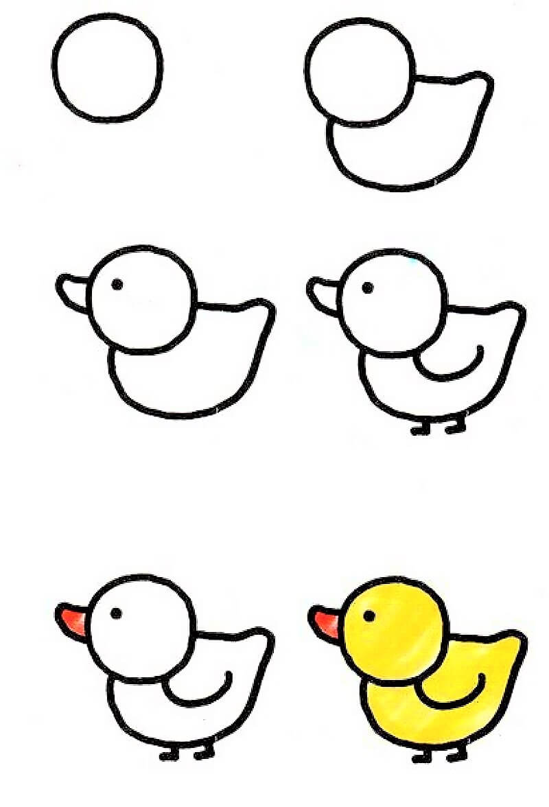 How to draw A Simple Chick