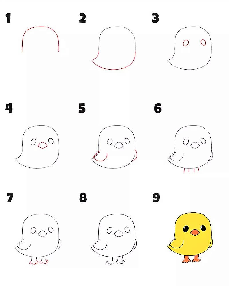 How to draw A Simple Chicken