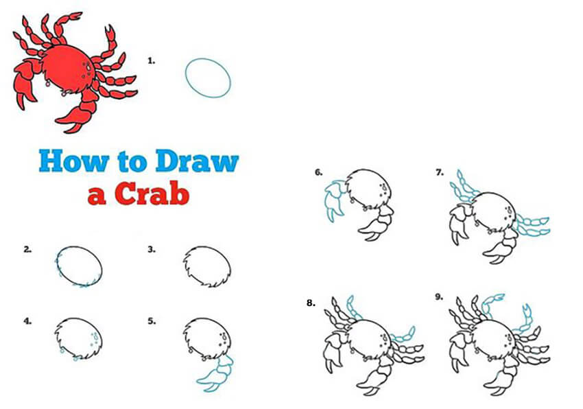 A Simple Crab Drawing Ideas