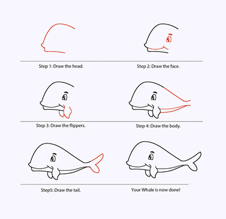 A Simple Whale Drawing Ideas
