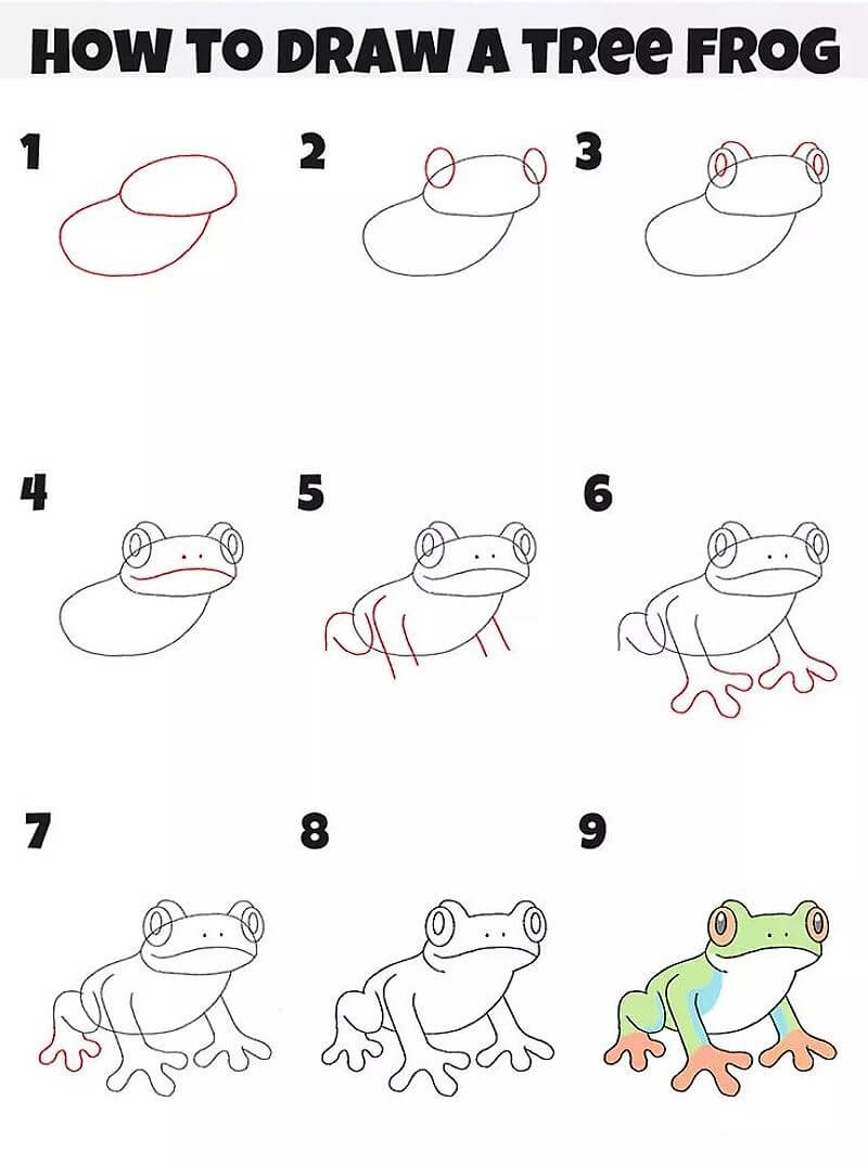 A Tree Frog Drawing Ideas