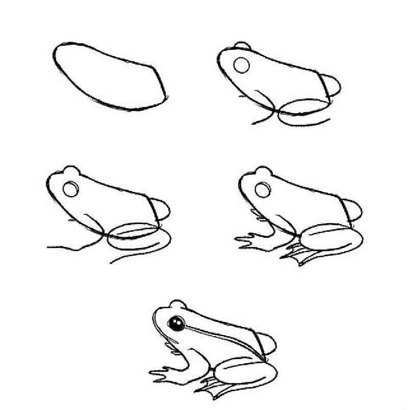 An Asia Frog Drawing Ideas
