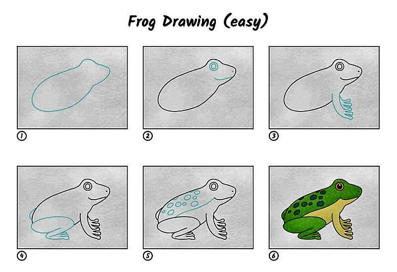 An Easy Frog Drawing Ideas