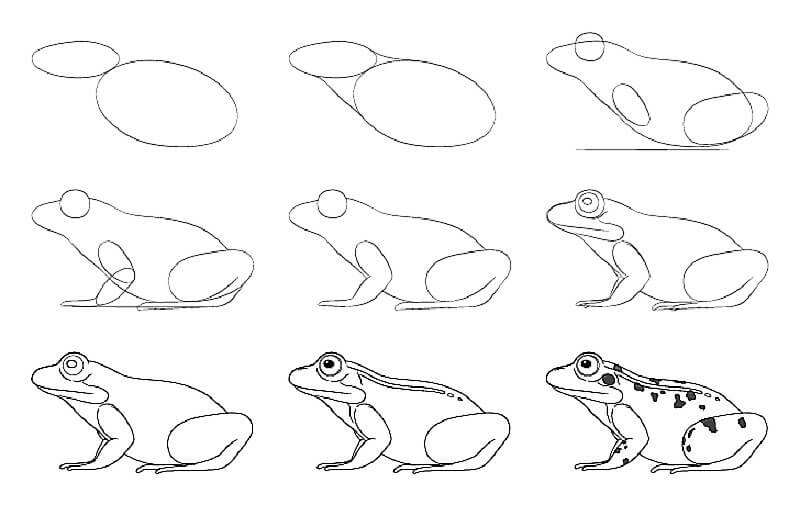 An Old Frog Drawing Ideas