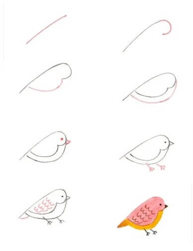 How to draw Baby bird (2)