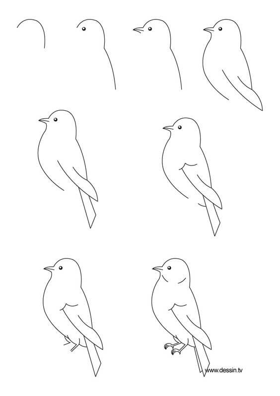 How to draw Bird idea (11)