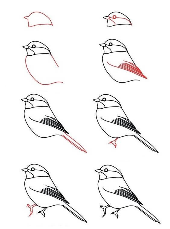 How to draw Bird idea (12)
