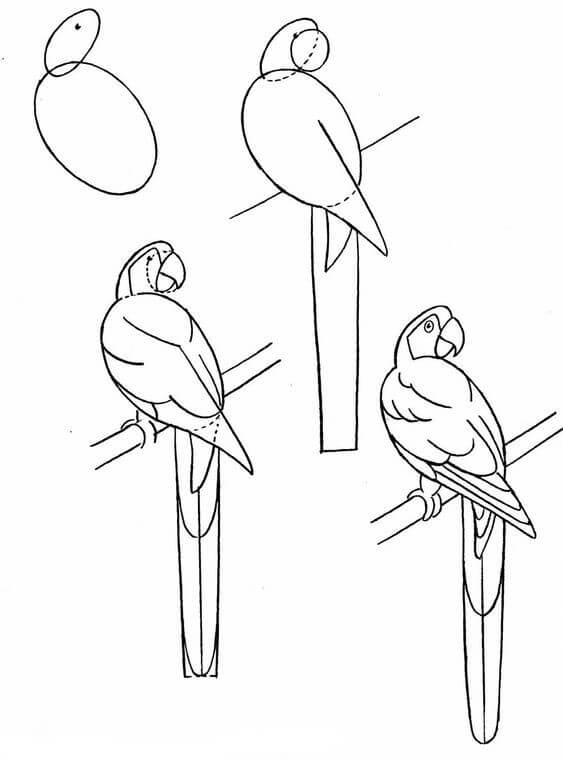 How to draw Bird idea (13)