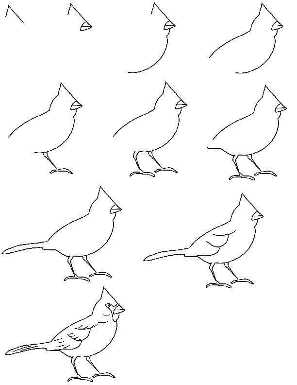 How to draw Bird idea (14)