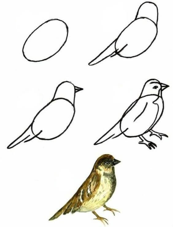 How to draw Bird idea (15)