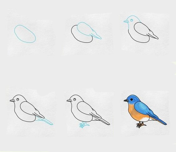 How to draw Bird idea (21)