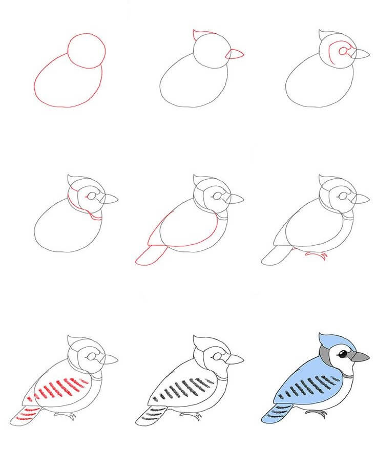How to draw Bird idea (22)