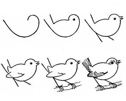How to draw Bird idea (23)