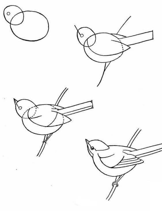 How to draw Bird idea (25)