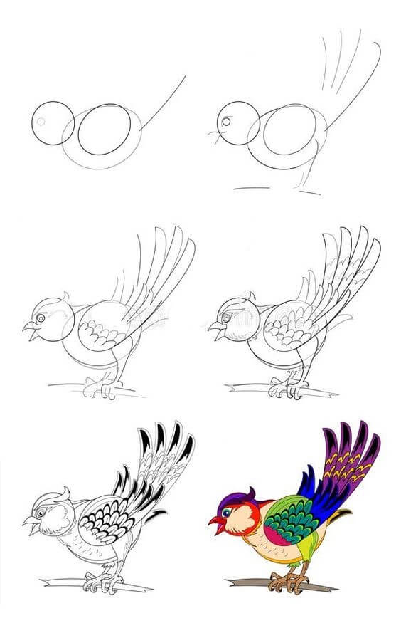 How to draw Bird idea (27)