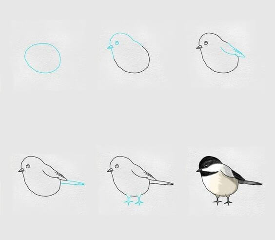 How to draw Bird idea (28)