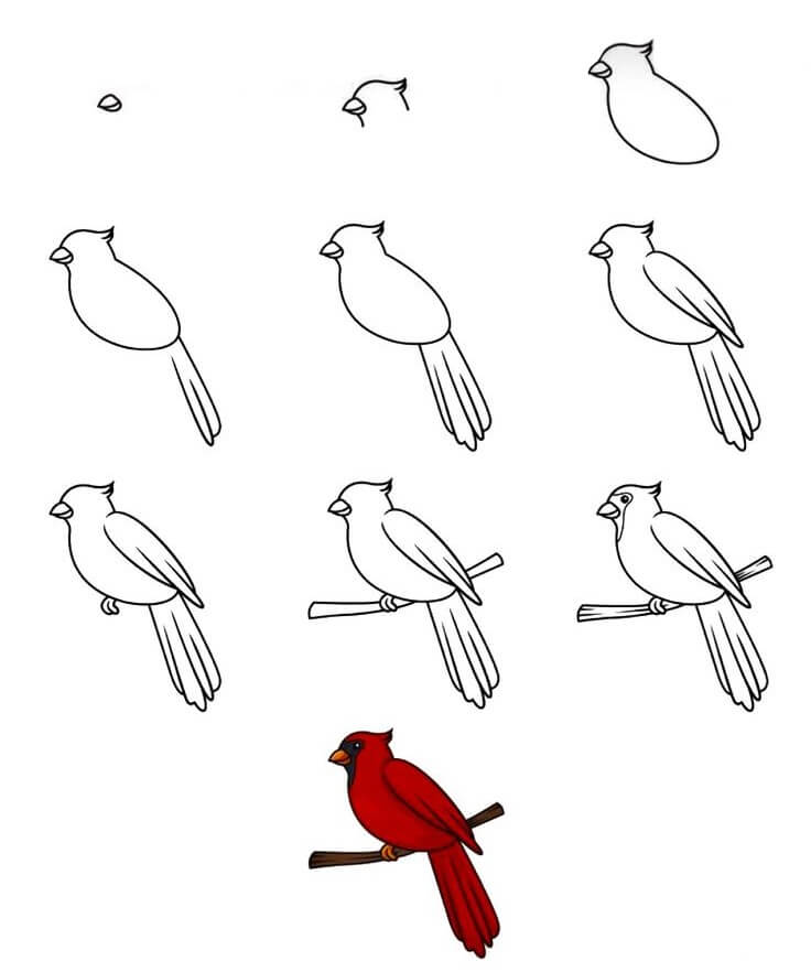 How to draw Bird idea (29)