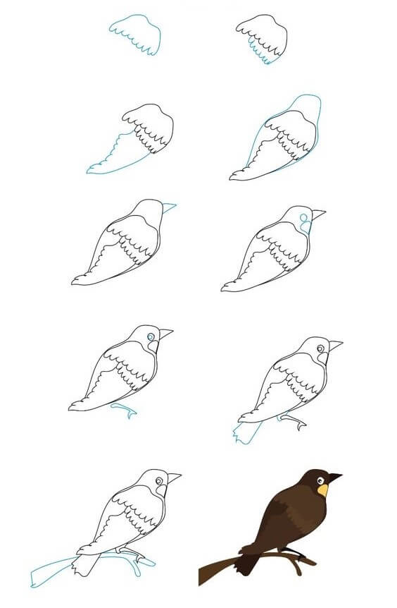How to draw Bird idea (3)