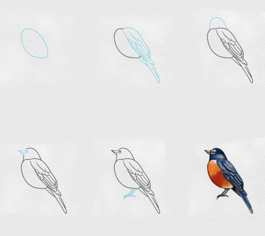 How to draw Bird idea (30)