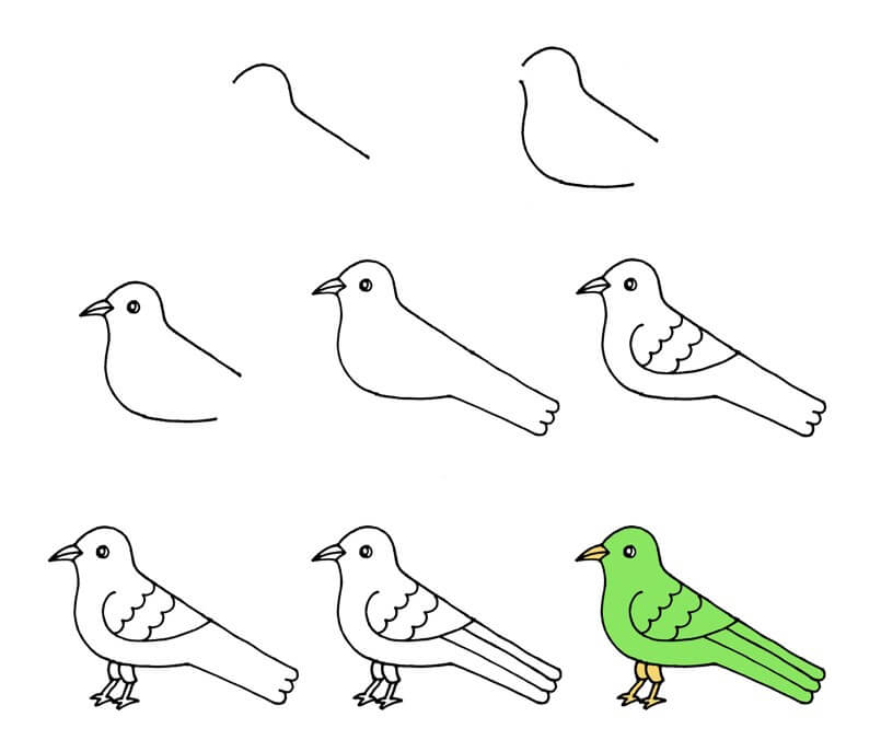 Bird idea (32) Drawing Ideas