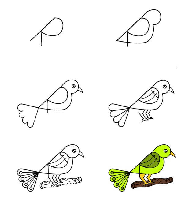 Bird idea (34) Drawing Ideas